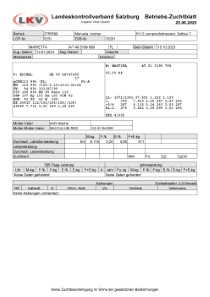 trchtige Fleckvieh Kalbin zu verkaufen, beweidet und ruhig